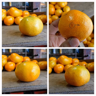 みんなの投稿の画像