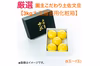 【新発売】厳選 園主こだわり土佐文旦3kg大玉【贈答用化粧箱】