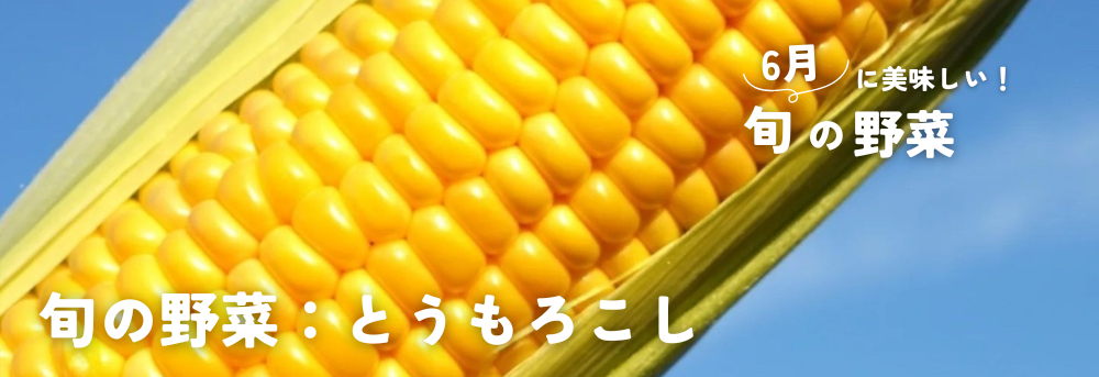 6月に旬のとうもろこし