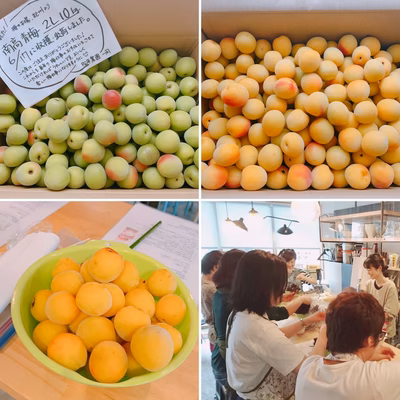 みんなの投稿の画像