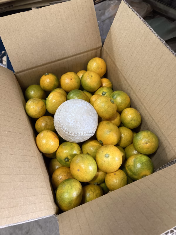 こびとみかんNo.2