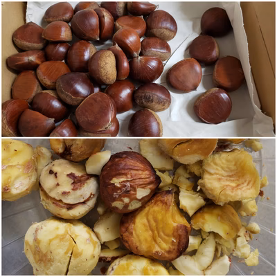 みんなの投稿の画像