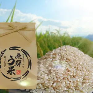 【新米・玄米】特別栽培米コシヒカリ•有機肥料100％・連続特別優秀賞！飛騨う米