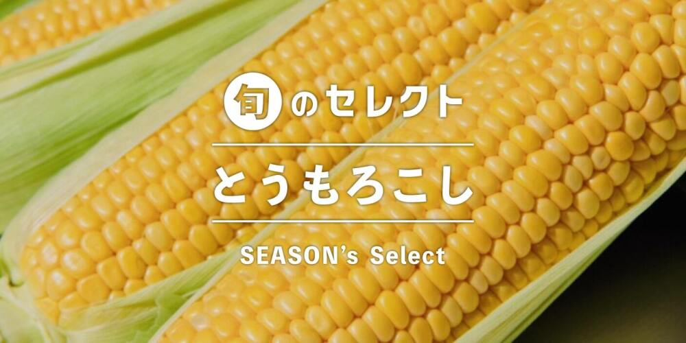 ジューシーで甘い！とうもろこしの季節が到来☺️🌽もろこし特集 ...