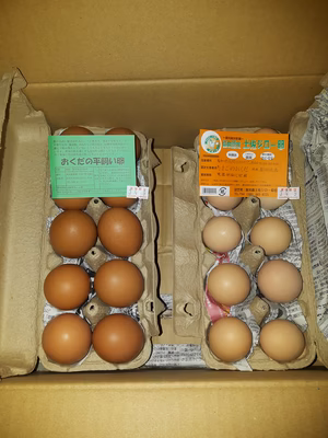 みんなの投稿の画像