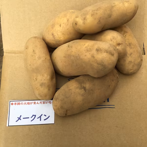 メークイン Lサイズ 5キロ