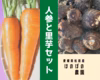 【掘りたて直送】  ほのぼのキャロット(人参)＆純白の里芋(さといも) 