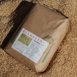 【隔月定期】希少品種たきたて農薬・化学肥料不使用 白米 2kg～