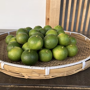 自然栽培のかぼす　箱込　５ｋｇ