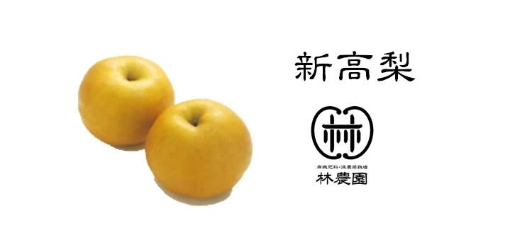食べ応えの大玉品種！　新高梨　家庭用　約5kg(6～9玉)