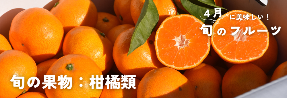 ４月に旬の果物：柑橘類・みかん