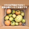 \最後の最安大放出‼︎⭐️/真っ赤になるよ！大玉トマト2キロ・5キロ【訳あり有】