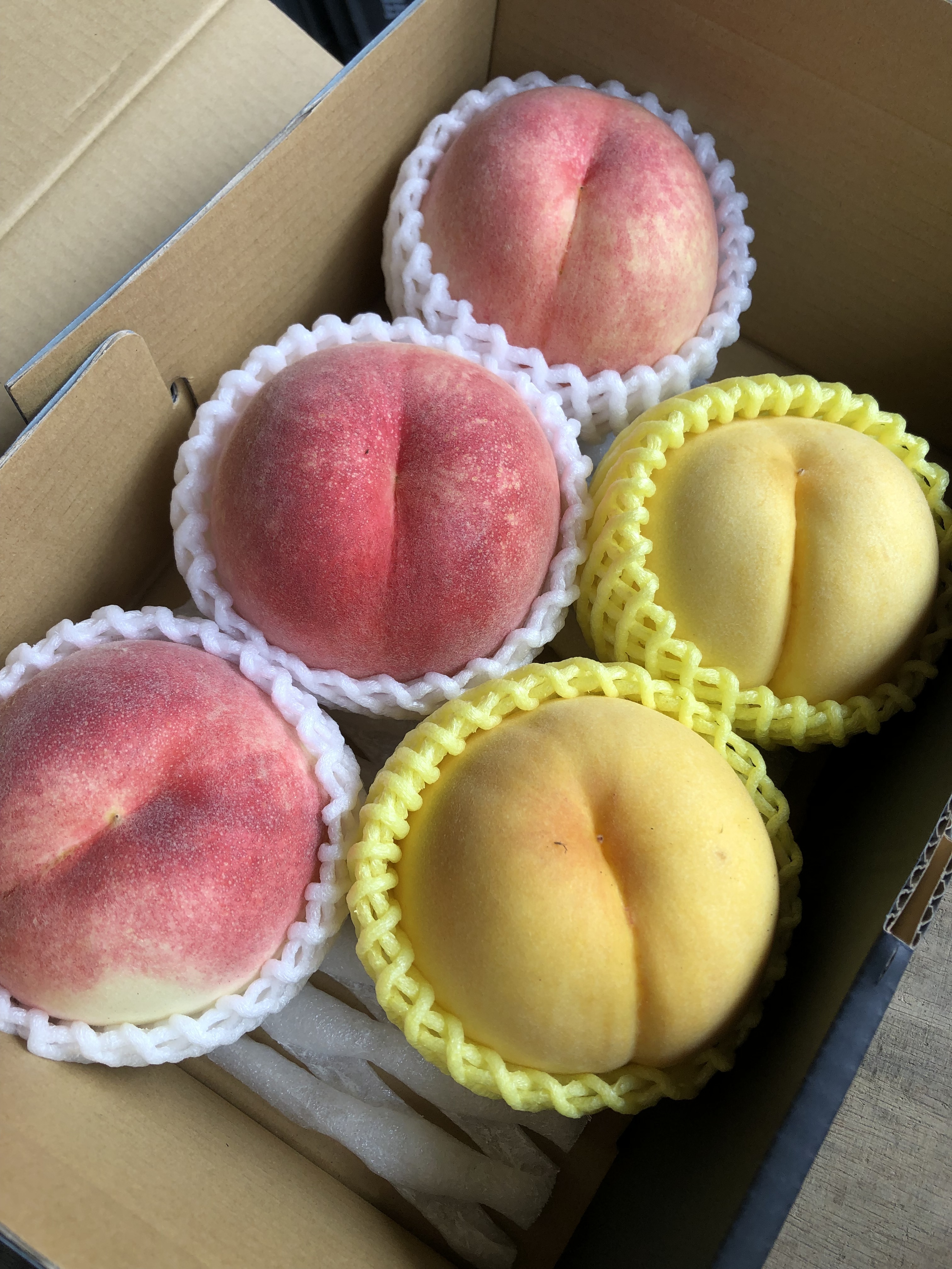 売れ筋商品売れ筋商品青森県産 桃 夏かんろ 5kg 果物 | vextec.com