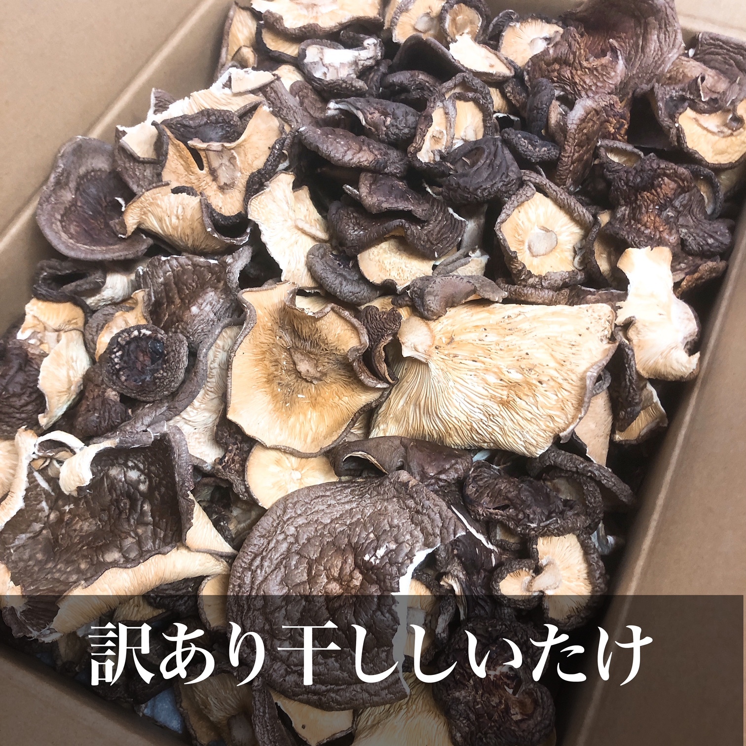 変色 変形訳アリ干ししいたけ ご自宅用に お買い得品 湯布院産干ししいたけ 野菜の商品詳細 ポケットマルシェ 産直 産地直送 通販 旬の果物 野菜 魚介をお取り寄せ