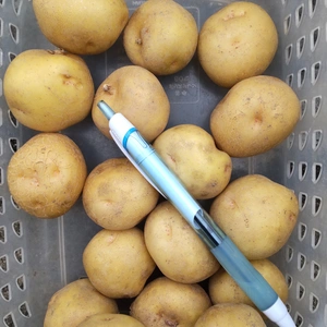 野菜のじゃがいもの商品一覧(27ページ目)｜ポケットマルシェ｜産直