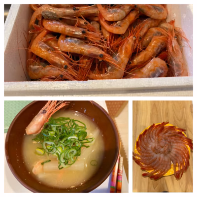 みんなの投稿の画像