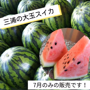 甘くて美味しい三浦スイカ