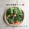 ４月のお野菜セット　淡路島よりAwajicHorrorGarden