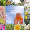 Unzen Pure Honey【日本ミツバチのはちみつ】