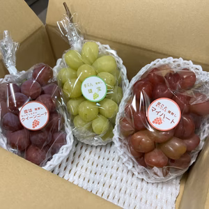 旬のぶどう 食べ比べセット（マイハート、クイーンニーナ、コトピー、シャイン