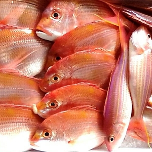 年末年始、旨いお魚uo！でハッピーニューイヤー☆