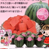 甘～い尾花沢小玉すいか ピノガール 2~3Lサイズ 山形県産
