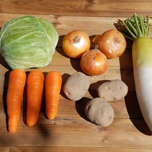 さくま農園「保存しやすいお野菜セット」