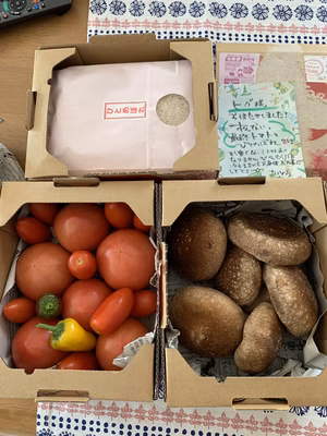 みんなの投稿の画像