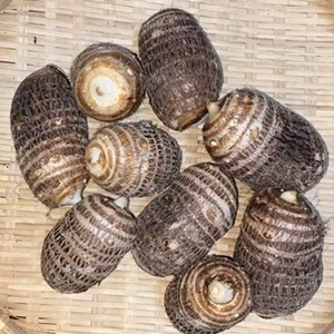 さといも「絹ひかり」1kg