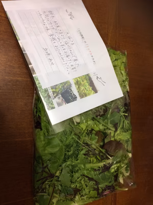 みんなの投稿の画像