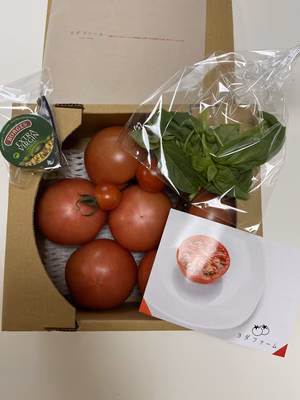 みんなの投稿の画像