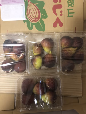 みんなの投稿の画像