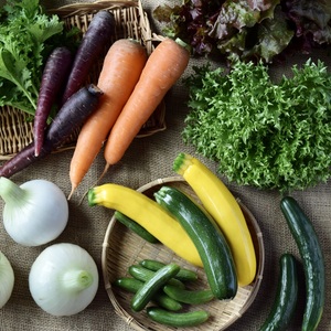 多品目栽培農家の、個性豊かな夏野菜つめあわせセット