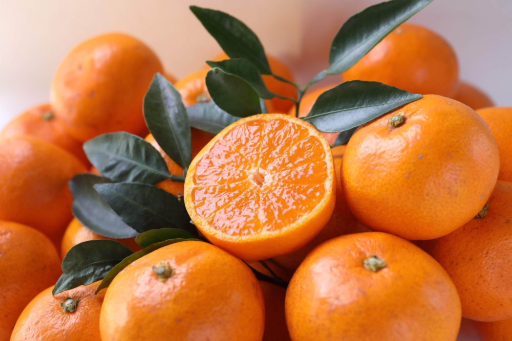 みかんさん専用 ご予約商品・2026年1月中旬よりご発送】青島みかんKing(キング)4.5㎏箱