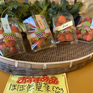 ミツバチが作った甘さはじけるいちご