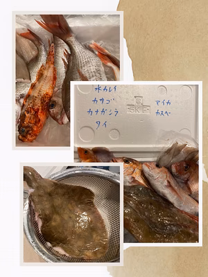 みんなの投稿の画像