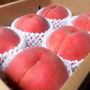 【今夜比べてみました出演】リピーター続出人気№1！【約2kg個数限定】7月予約