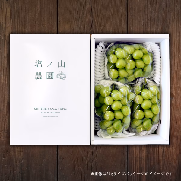 【規格外3房】まろやかな甘みと高貴な香り！山梨県産シャインマスカット3房