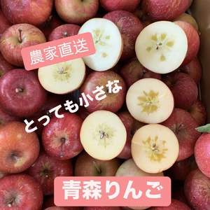 訳あり　とっても小さな青森りんご