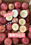 訳あり　とっても小さな青森りんご