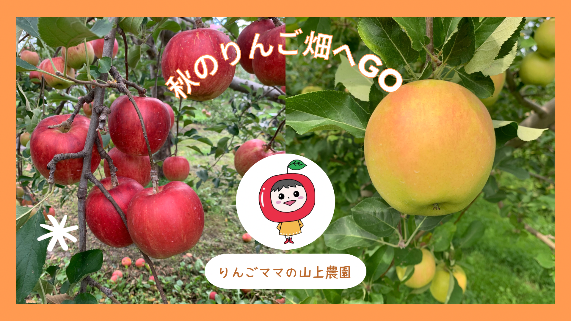 青森県弘前市｜りんごママの山上農園｜山上一人さんの生産者