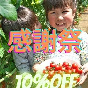 【感謝祭・10%off】出汁の旨味濃厚ミニトマト・農カード付