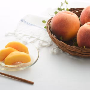 数量限定　8月中に発送　無袋栽培の黄桃　紅黄桃　1.5ｋｇ（5～6個）