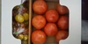【今、食べてほしい100%純桃太郎】桃太郎トマトとミニトマトのセット2キロ箱詰め