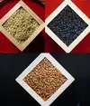 自然栽培の地粉うどん（太麺＆細麺）と古代米ブレンドのセット