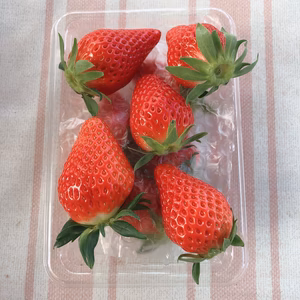 甘い苺をパックに詰めました❣️