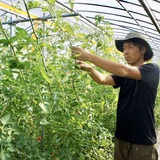 山本真弘 | Mellow~Green&Life~