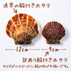 えびすワカメ［早採り］2/15より発送&訳あり殻付活ホタテ不揃い