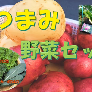 【熊本県産】 "おつまみ"野菜とベビーリーフセット
