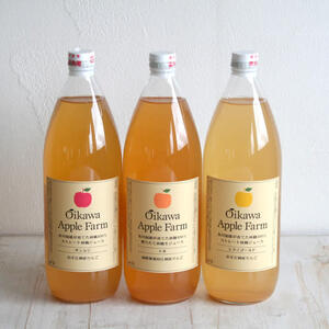 3品種飲み比べ！江刺産りんごジュース果汁100%〈1000ml✕3本〉